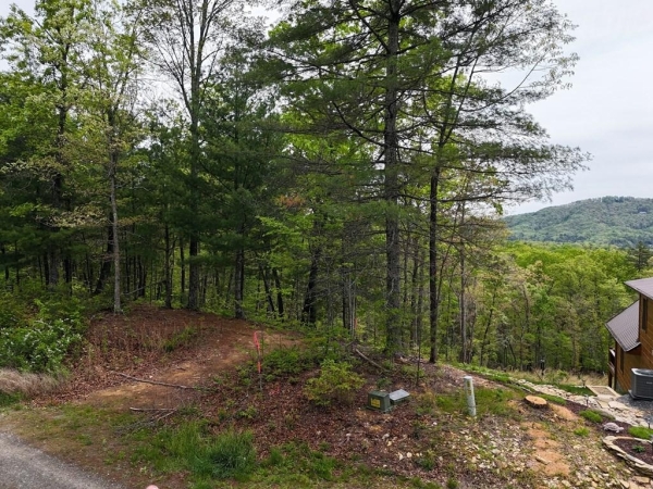 Listing Image #2 - Land for sale at Lot 20 Crabapple Lane, Mineral Bluff GA 30559