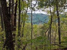Land property for sale in Mineral Bluff, GA