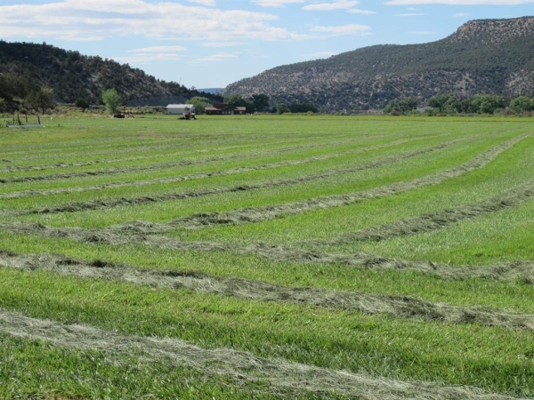 Listing Image #1 - Land for sale at TBD Lot 1 Road G, Cortez CO 81321