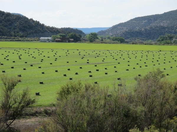 Listing Image #2 - Land for sale at TBD Lot 1 Road G, Cortez CO 81321