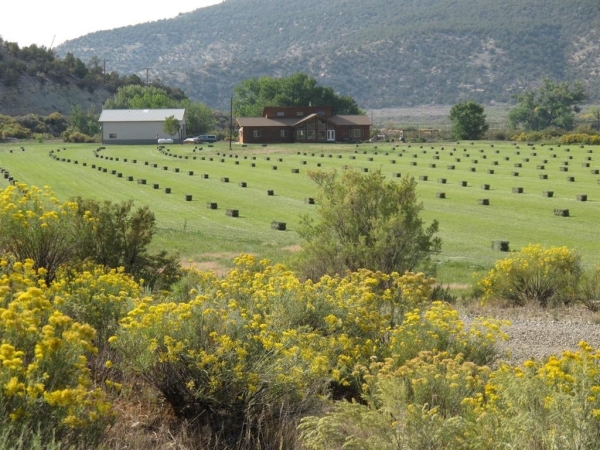 Listing Image #3 - Land for sale at TBD Lot 1 Road G, Cortez CO 81321