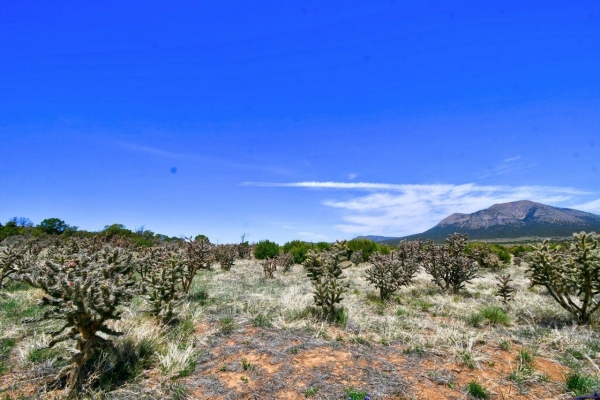Listing Image #1 - Others for sale at 201 ENTRANOSA/ LOT 2 Road, Edgewood NM 87015