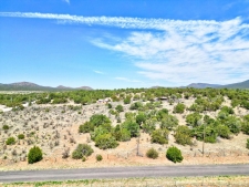 Listing Image #2 - Others for sale at 201 ENTRANOSA/ LOT 2 Road, Edgewood NM 87015