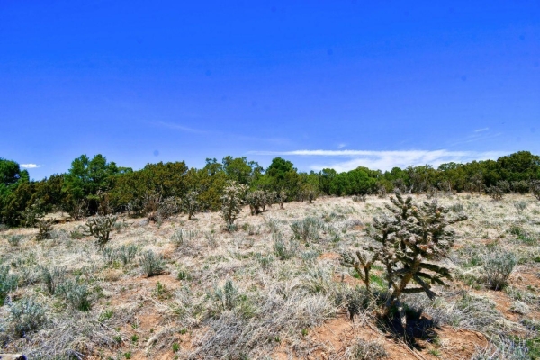 Listing Image #2 - Others for sale at 201 ENTRANOSA/ Lot 4 Road, Edgewood NM 87015