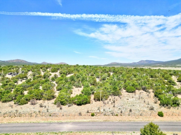 Listing Image #3 - Others for sale at 201 ENTRANOSA/ Lot 4 Road, Edgewood NM 87015