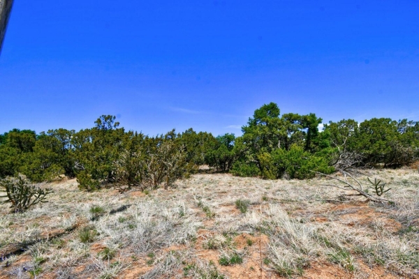 Listing Image #2 - Others for sale at 201 ENTRANOSA/ Lot 5 Road, Edgewood NM 87015
