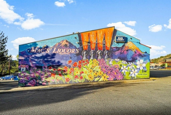 Listing Image #1 - Retail for sale at 3124 Main Avenue, Durango CO 81301