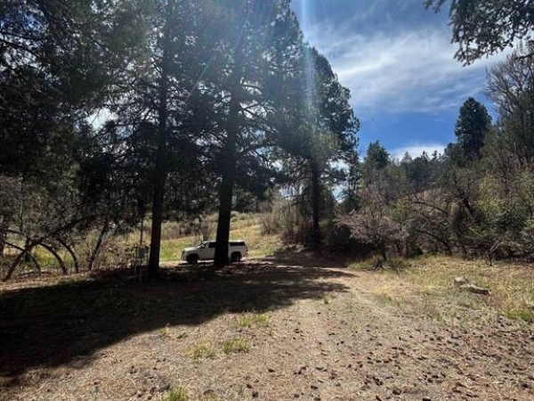 Listing Image #2 - Land for sale at 3119 Cr 234, Durango CO 81301