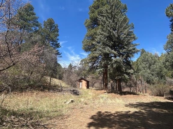 Listing Image #3 - Land for sale at 3119 Cr 234, Durango CO 81301
