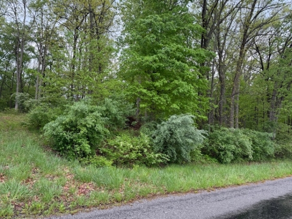 Listing Image #2 - Land for sale at TBD Country Club Rd & Power Plant Rd, Marion IL 62959