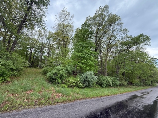 Listing Image #3 - Land for sale at TBD Country Club Rd & Power Plant Rd, Marion IL 62959