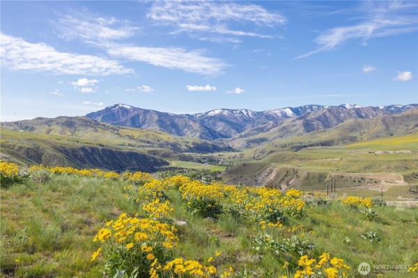 Listing Image #2 - Land for sale at 1 TERRACE VIEW SHORT PLAT, METHOW WA 98834