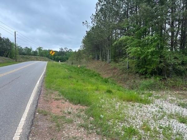 Listing Image #2 - Land for sale at 55 Spring Place Road, Cartersville GA 30121