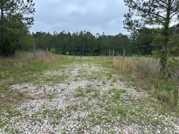 Listing Image #3 - Land for sale at 55 Spring Place Road, Cartersville GA 30121