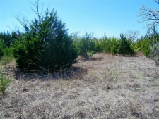 Listing Image #1 - Land for sale at N Triple X Road, Choctaw OK 73020