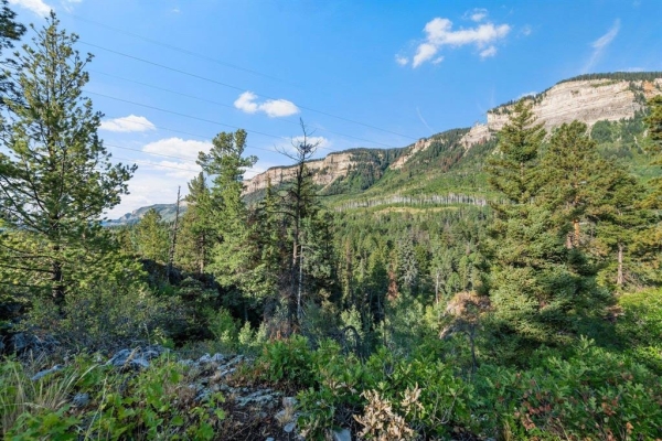 Listing Image #2 - Land for sale at 367 Two Dogs Trail, Durango CO 81301
