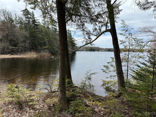 Listing Image #1 - Land for sale at E Shore Rd, Stratford NY 13470