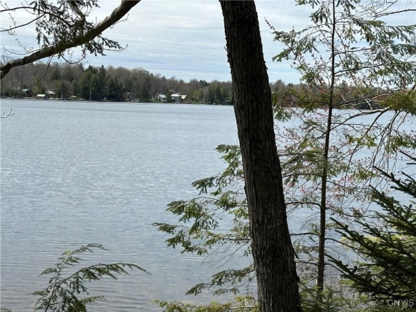 Listing Image #2 - Land for sale at E Shore Rd, Stratford NY 13470