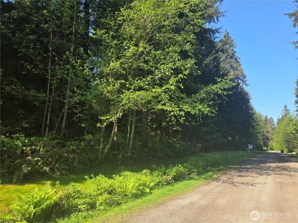 Listing Image #1 - Land for sale at 14316 240TH STREET SE, SNOHOMISH WA 98296