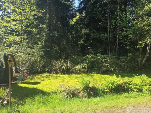 Listing Image #2 - Land for sale at 14316 240TH STREET SE, SNOHOMISH WA 98296