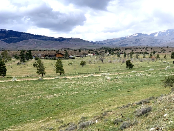 Listing Image #1 - Land for sale at 20 miles WNW of Rosamond, Unincorporated Kern County CA 93560
