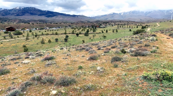 Listing Image #2 - Land for sale at 20 miles WNW of Rosamond, Unincorporated Kern County CA 93560