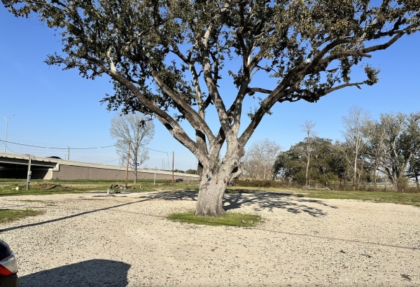 Listing Image #3 - Industrial for sale at 6511 FM 1464 Rd, Richmond TX 77407
