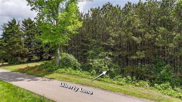 Listing Image #3 - Others for sale at 0 Liberty Lane, Jasper GA 30143