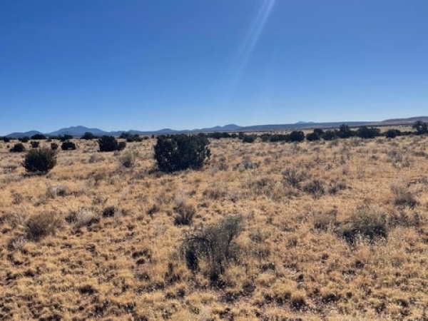 Listing Image #3 - Land for sale at 1727 E Stanford Avenue 101, Williams AZ 86046