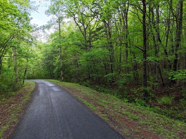 Listing Image #2 - Land for sale at L93 - 95 Timberline, Young Harris GA 30582