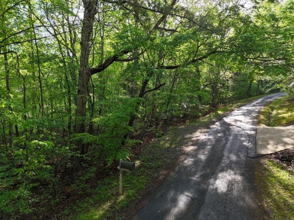 Listing Image #3 - Land for sale at L93 - 95 Timberline, Young Harris GA 30582