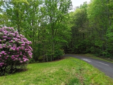 Land for sale in Young Harris, GA