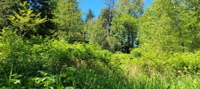Listing Image #3 - Land for sale at 825 99th Ave SE, Lake Stevens WA 98258