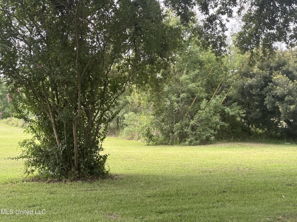 Listing Image #3 - Land for sale at 4803 Orchard Road, Pascagoula MS 39581