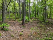 Land property for sale in Hiawassee, GA