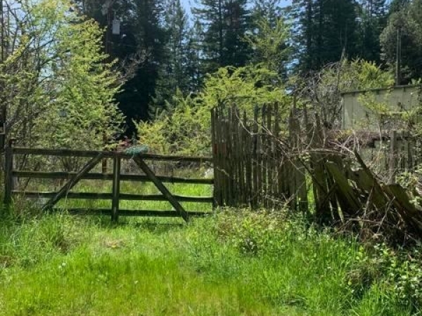 Listing Image #1 - Land for sale at 23501 Branscomb Road, Westport CA 95488