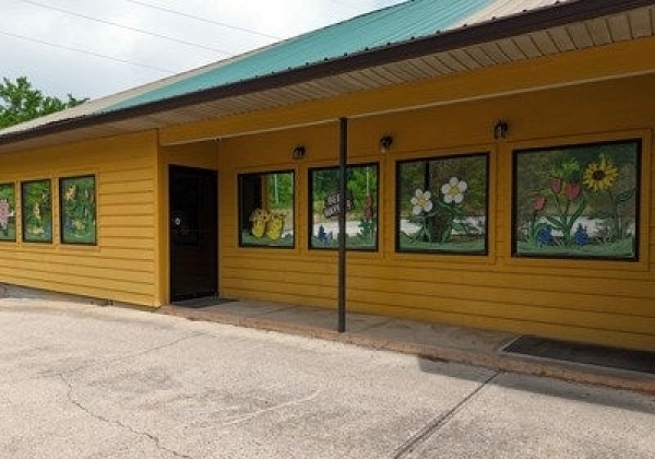 Listing Image #3 - Others for sale at 3064 Us Hwy 76 W, Hiawassee GA 30546