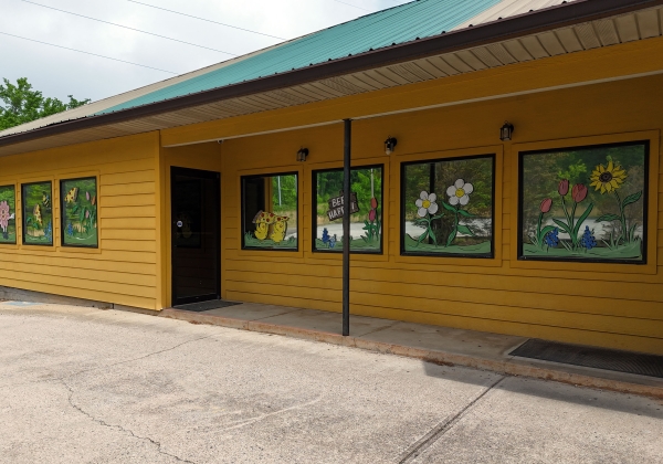 Listing Image #3 - Others for sale at 3064 US Hwy 76 West, Hiawassee GA 30546