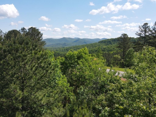 Listing Image #1 - Land for sale at Lot 379 Marshall Rise Road, Blairsville GA 30512