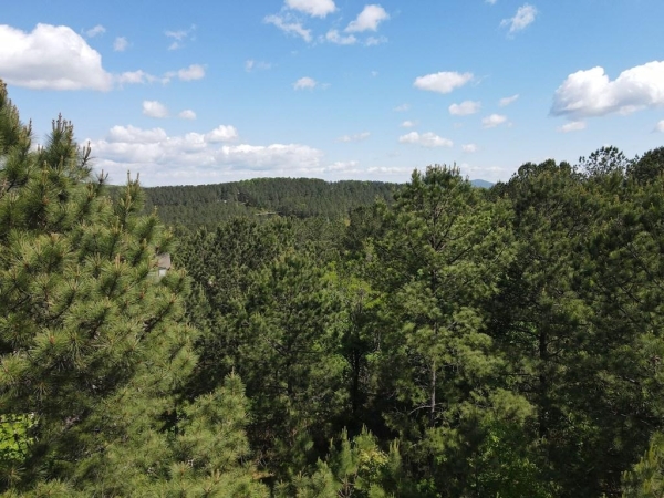 Listing Image #3 - Land for sale at Lot 379 Marshall Rise Road, Blairsville GA 30512