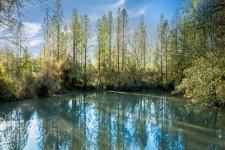 Listing Image #3 - Land for sale at 14941 Deadmans Flat Road, Grass Valley CA 95949