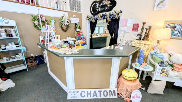Listing Image #3 - Retail for sale at 17115 Jordan Street, Chatom AL 36518