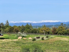 Listing Image #2 - Land for sale at 11777 E Shenandoah Road, Plymouth CA 95669