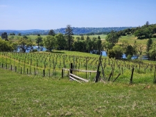 Listing Image #3 - Land for sale at 11777 E Shenandoah Road, Plymouth CA 95669
