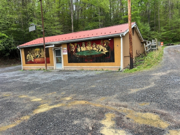 Listing Image #1 - Others for sale at 3677 W Midland Trl, Charmco WV 25958