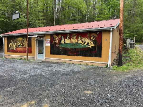 Listing Image #2 - Others for sale at 3677 W Midland Trl, Charmco WV 25958