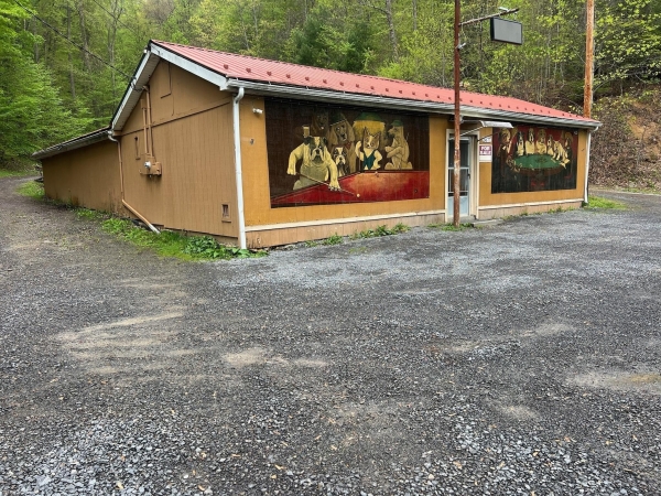 Listing Image #3 - Others for sale at 3677 W Midland Trl, Charmco WV 25958