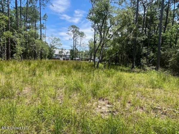 Listing Image #2 - Land for sale at Lot 20 Birch , Lot 23 Pinewood, Pass Christian MS 39571