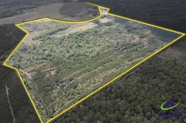 Listing Image #1 - Land for sale at 191 acres Bethel Church Road, Eastman GA 31023