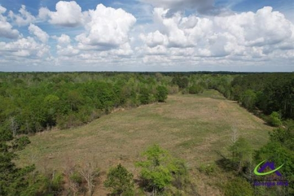 Listing Image #2 - Land for sale at 191 acres Bethel Church Road, Eastman GA 31023